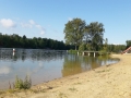CWE_2014_41
