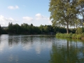 CWE_2014_42