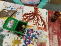 Knopfbaum2021_001