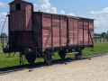 ausschwitz24_031