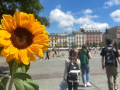 ausschwitz24_033