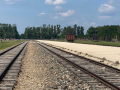 ausschwitz24_035