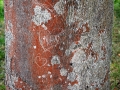 bad_kissingen_2015 003