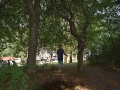 bad_kissingen_2015 564