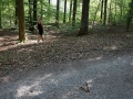 bad_kissingen_2015 578