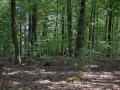 bad_kissingen_2015 580