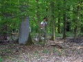 bad_kissingen_2015 588