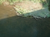 bk2012_107_0