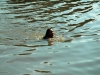 bk2012_233_0