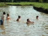 bk2012_244_0