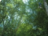 bk2012_303_0