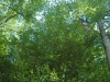 bk2012_304_0