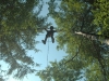 bk2012_311_0