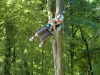 bk2012_337_0